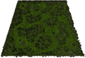 Forest Overgrowth Map.png