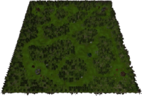 Forest Overgrowth Map.png